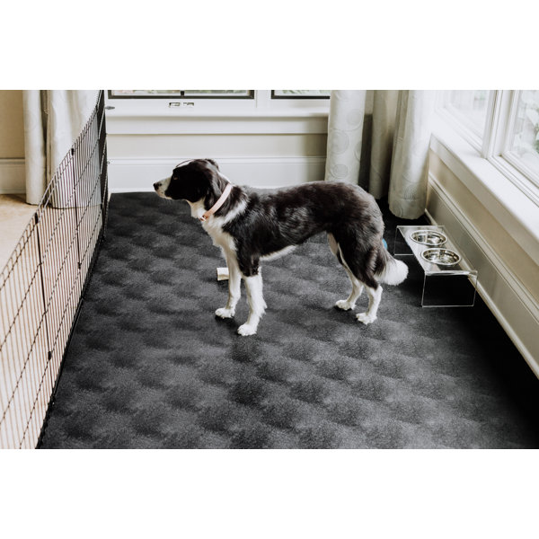 GFloor Pet Flooring Protector Placemat Wayfair
